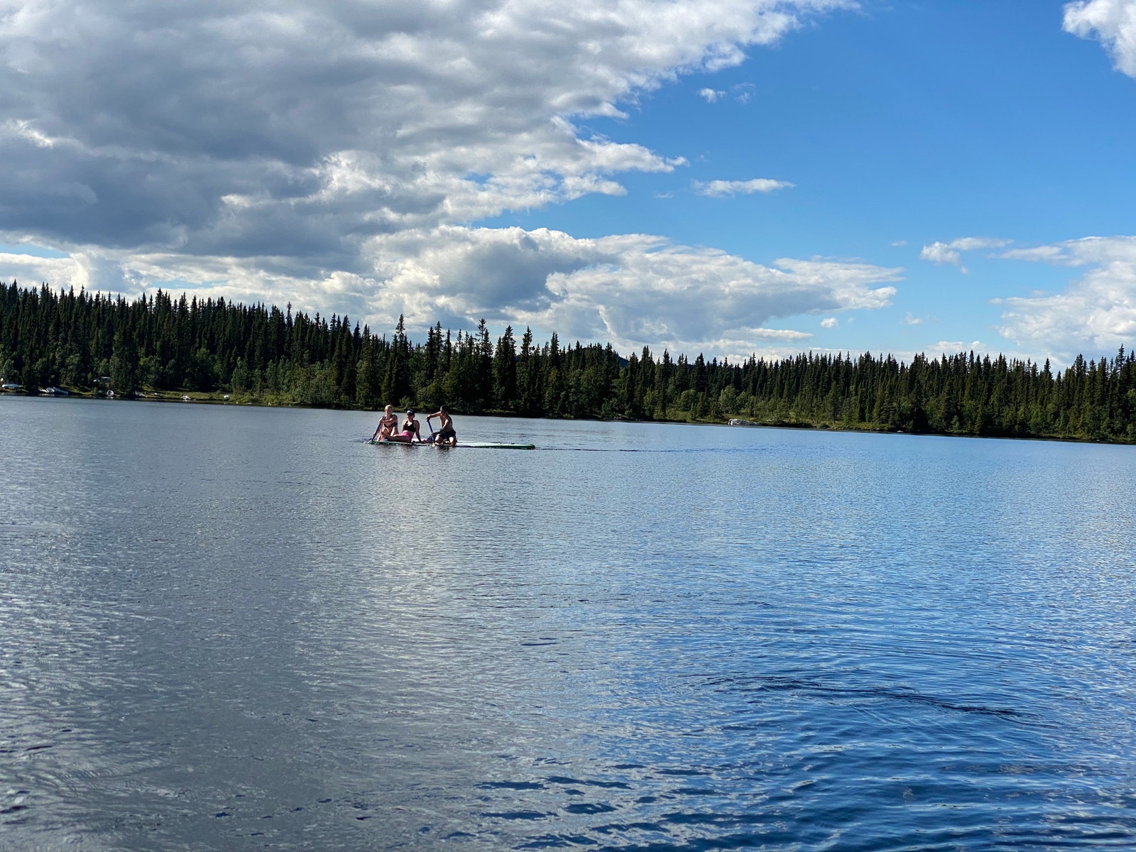 Fjellvann Galleribilde