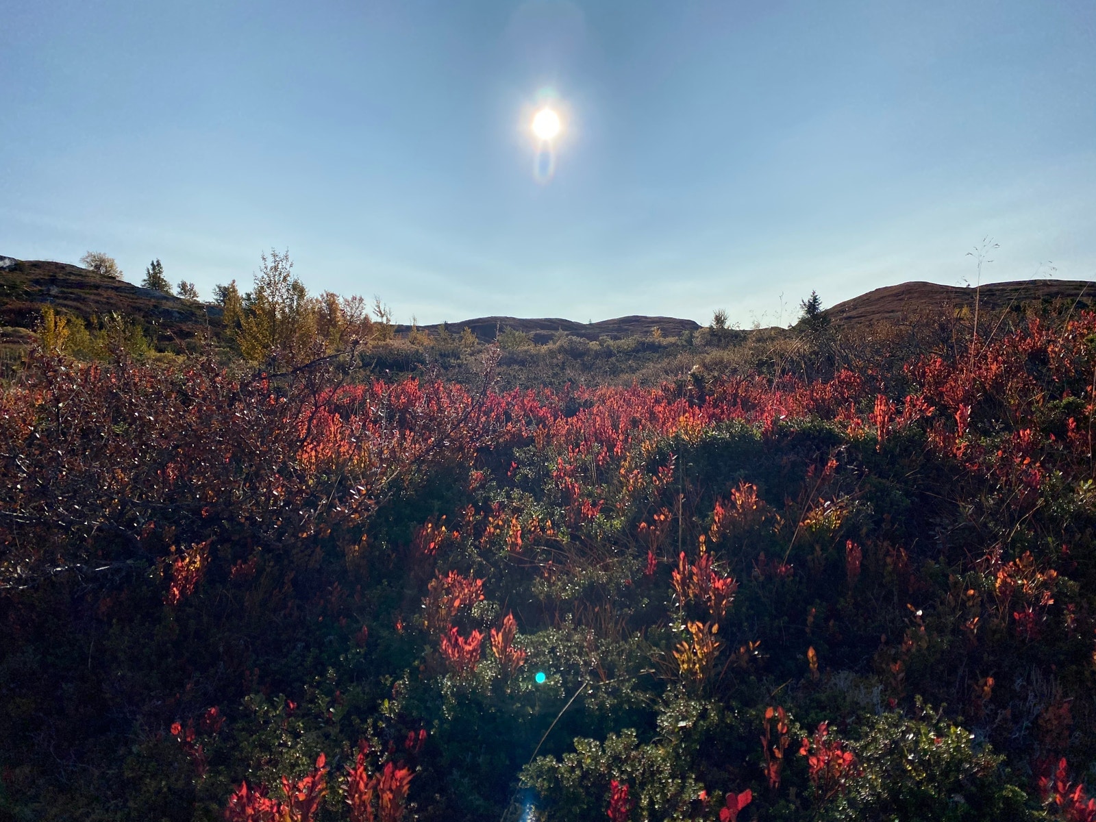 På tur til Dørdalsknappen høst 2020 Galleribilde