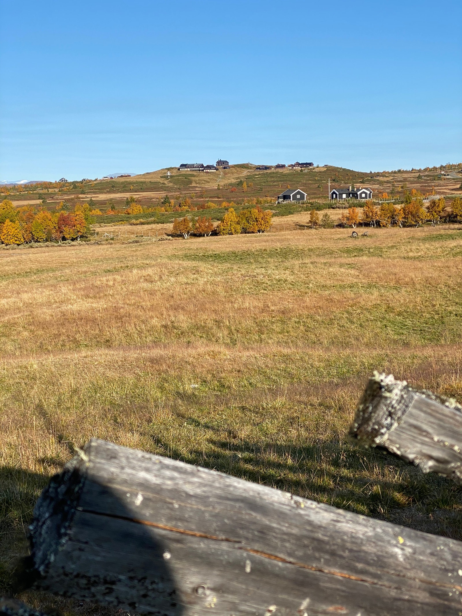 Fra Gardtjernlia seterstul, innunder Dørdalsknappen Galleribilde