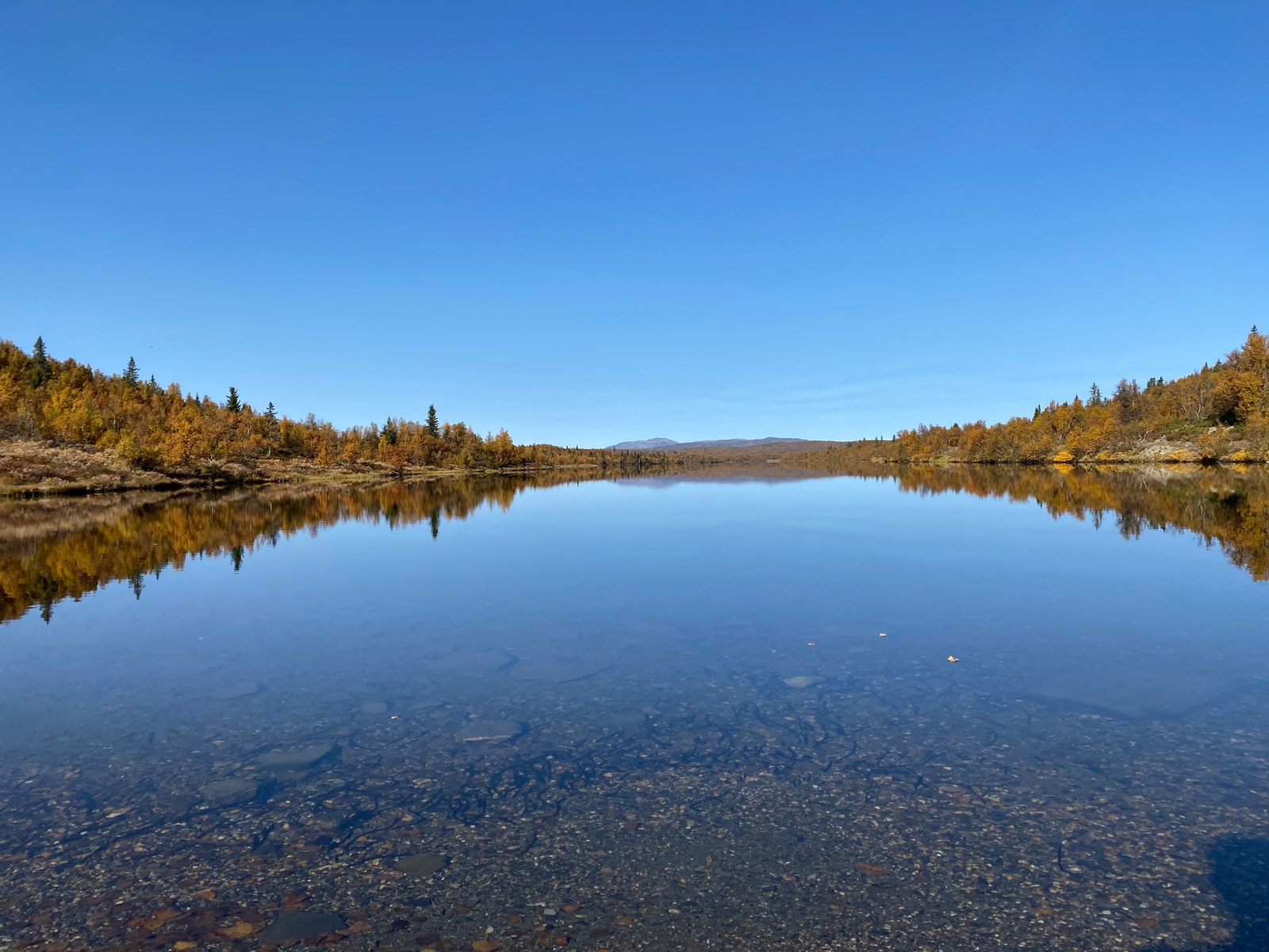 Bennsjøen Galleribilde