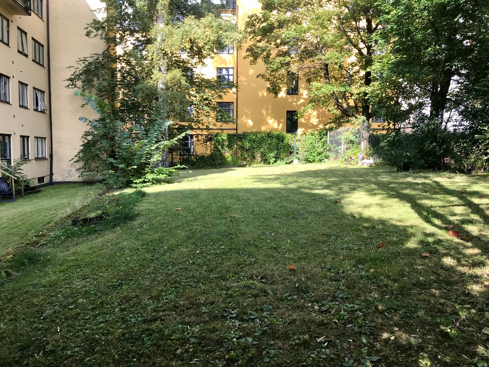 bakgård Galleribilde