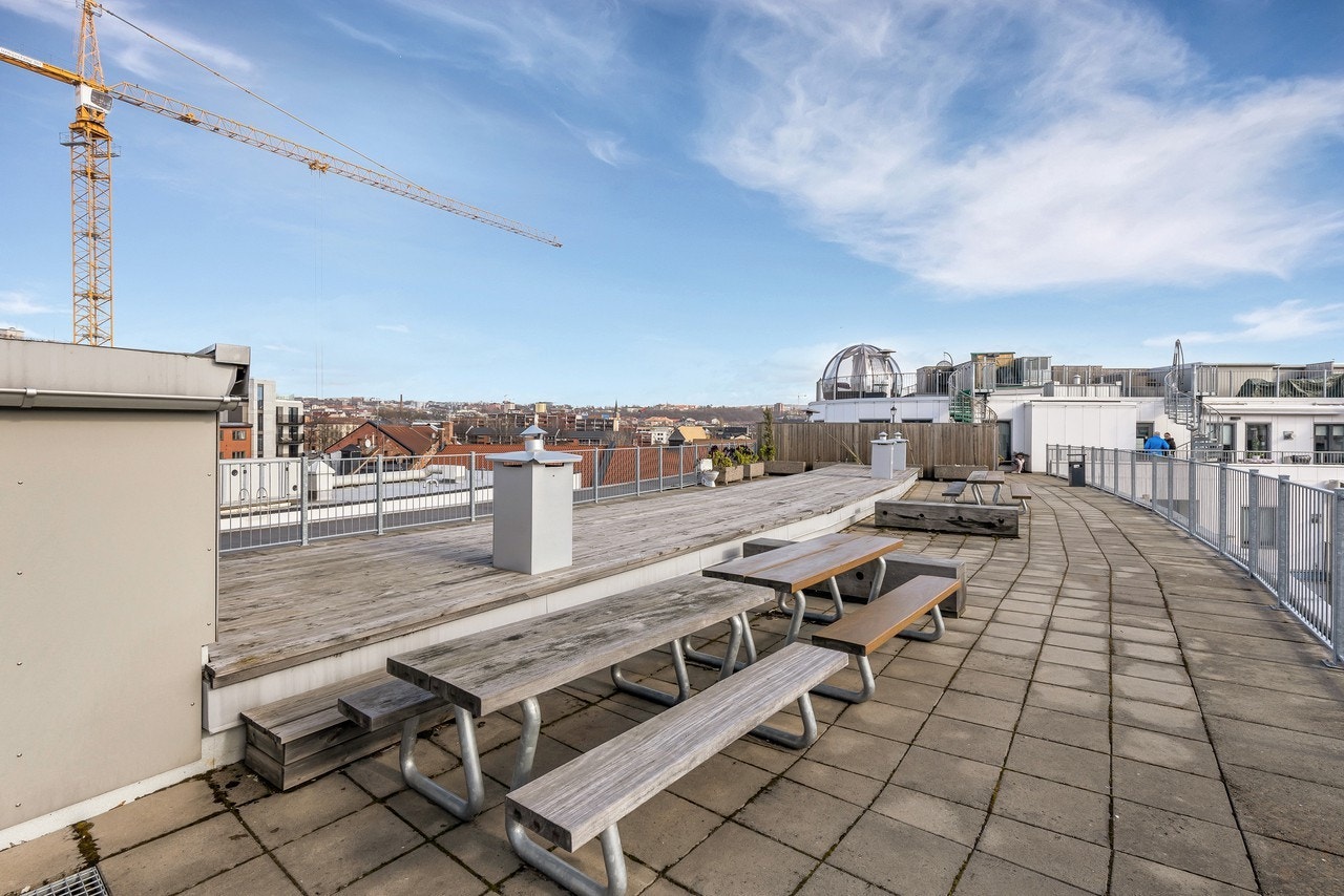 Felles takterrasse Galleribilde