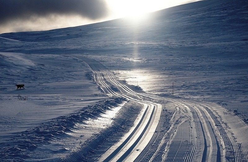 Flotte skiløyper i samarbeid med destinasjon Beitostølen Galleribilde