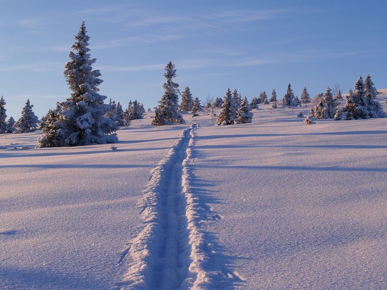 Velg din egen skitur Galleribilde