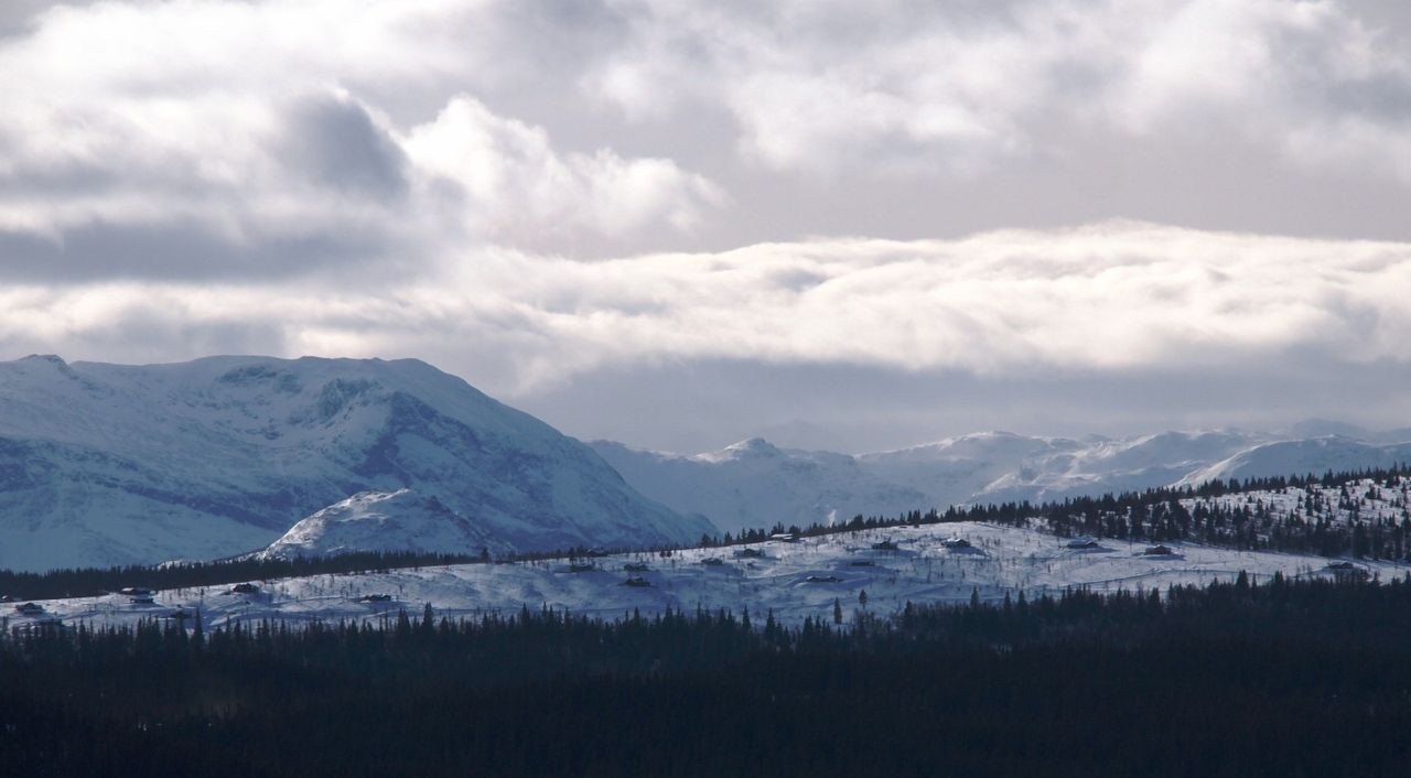 Ulvhild hyttegrend Galleribilde