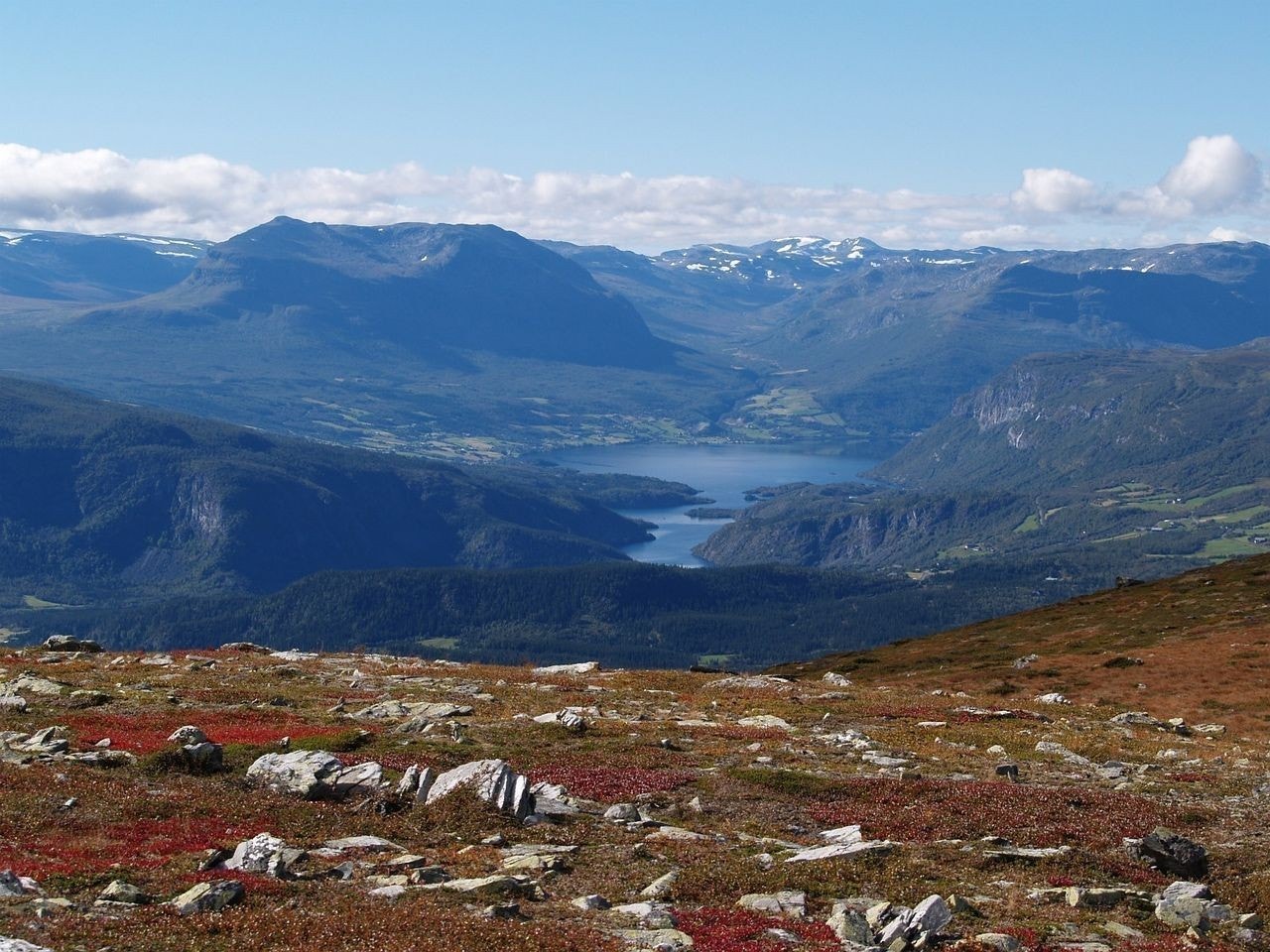 Fra toppen Galleribilde