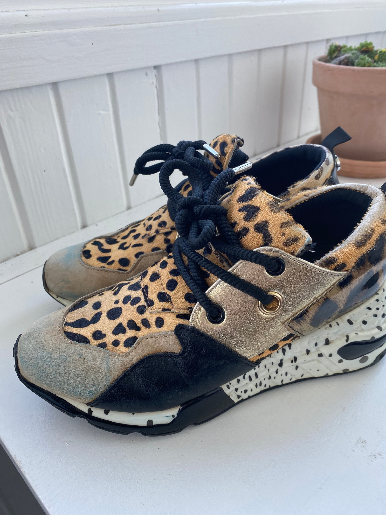 Steve Madden | FINN.no steve madden sko danmark
