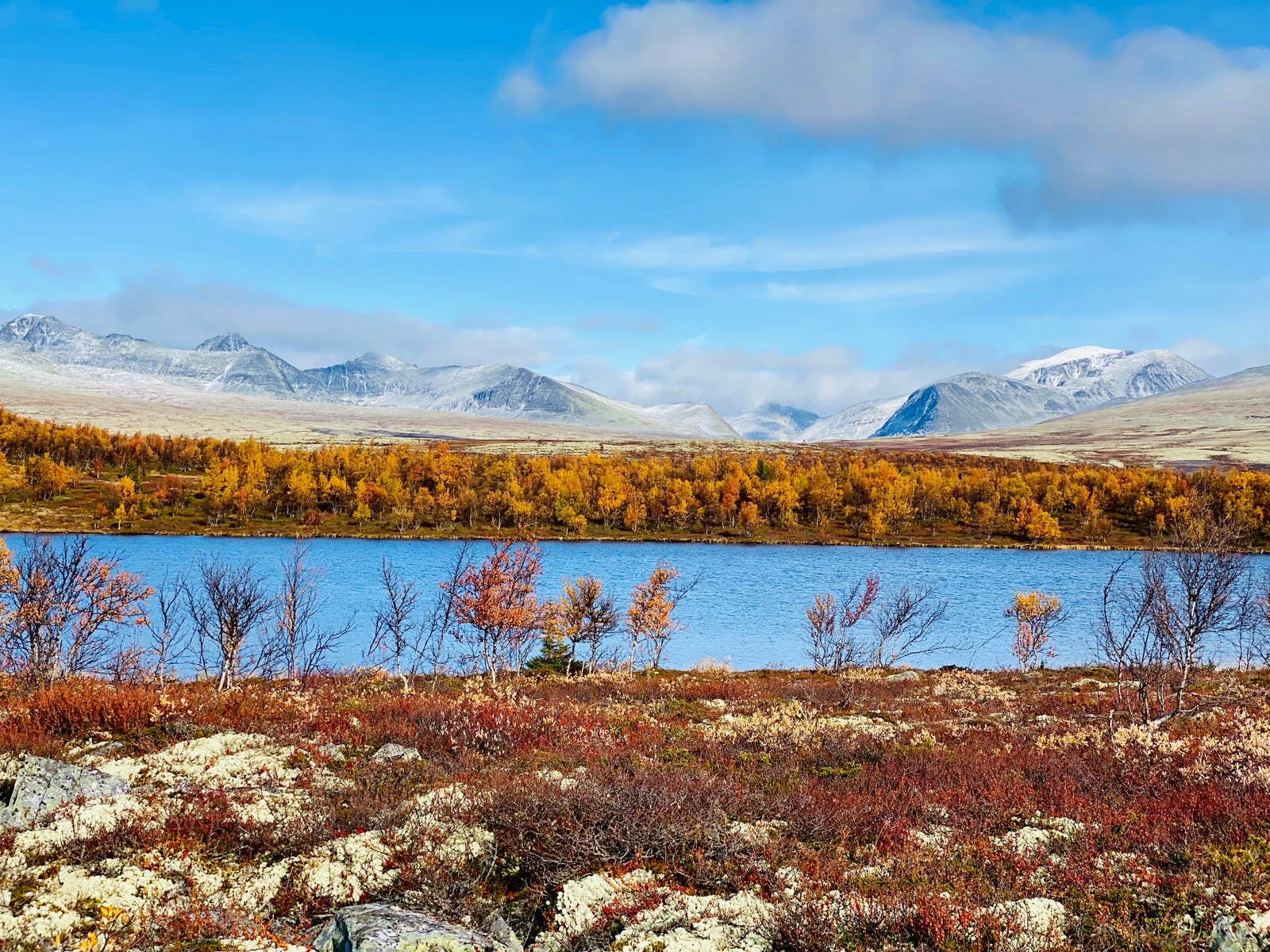 Ranglsrtjønn ca 2 km fra hytta Galleribilde