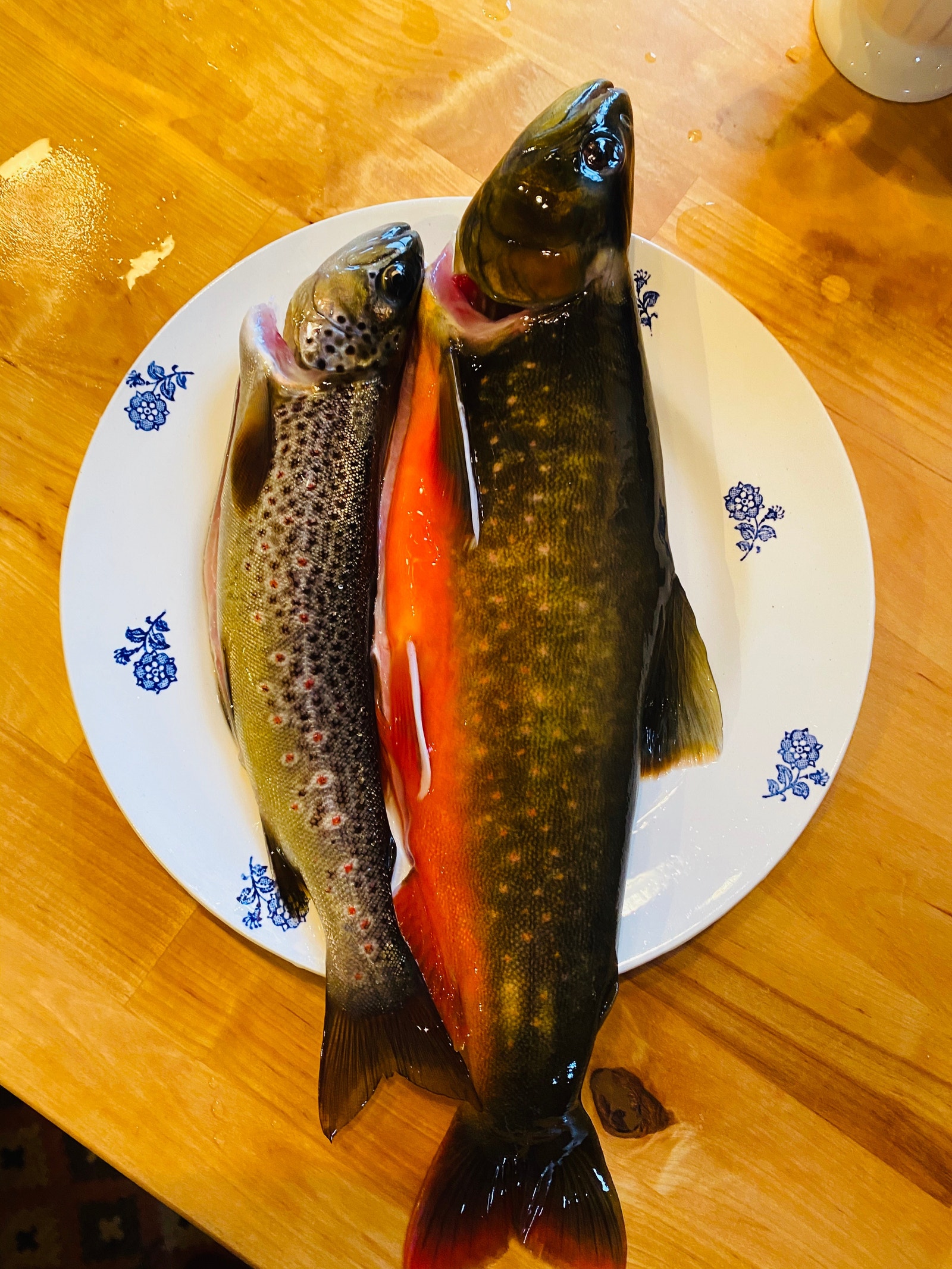 Tatt i Bergetjønn Galleribilde