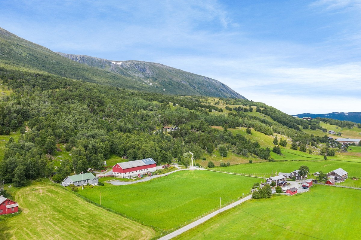 Har du spørsmål knyttet til tomta, ta kontakt med megler! Galleribilde