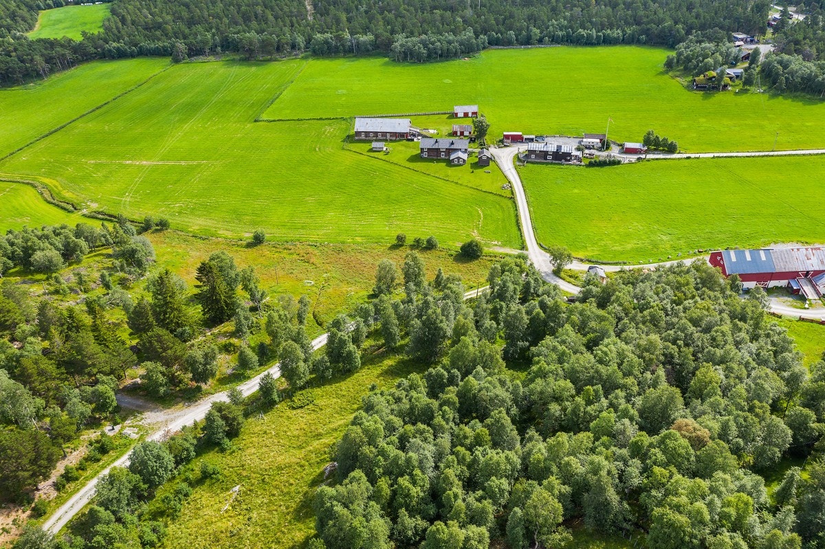 Tomten ligger usjenert i landlig landskap, omkranset av skog, og det bys på fantastisk utsikt i retning Risberget Galleribilde