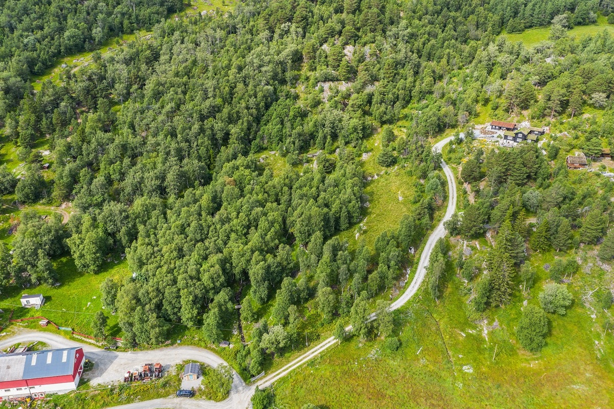 Stedet er det ultimate for deg som elsker naturen. Oppdal er selve fjellbygda i Midt-Norge, kjent for Norges største alpine skiområde og kan tilby et bredt spekter av opplevelser Galleribilde