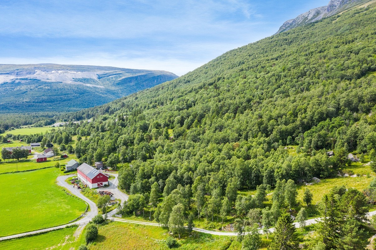 Fra eiendommen har du rikelig med muligheter for både ski-/ og gå turer Galleribilde