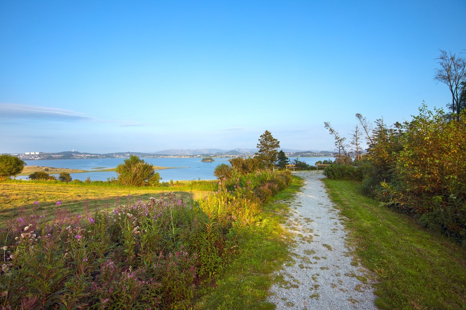 Nærområde Galleribilde