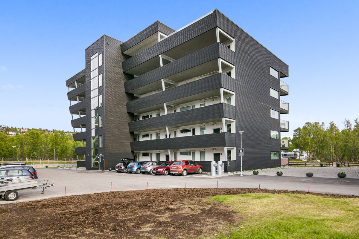 Asfaltert adkomst med oppstillingsplass for biler