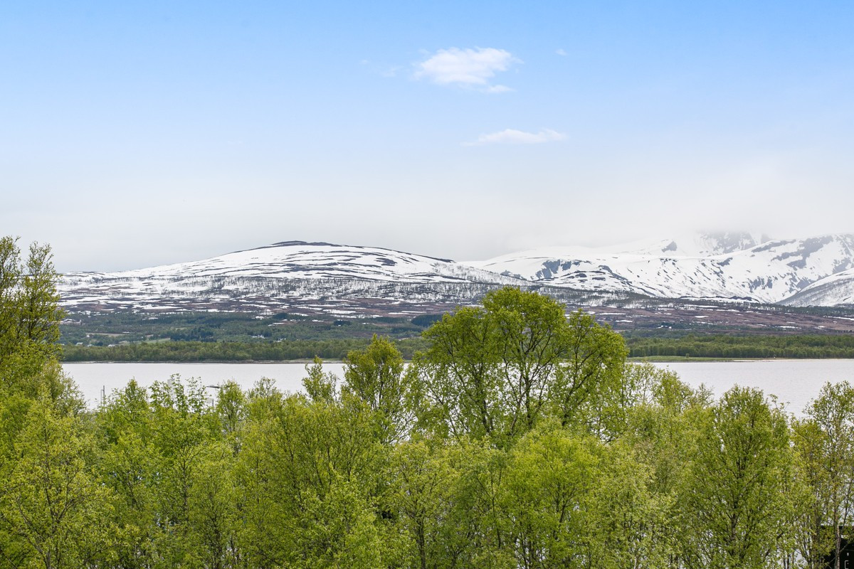 Vangberg ligger på Tromsøya sørvest, og har flotte sol- og utsiktsforhold
