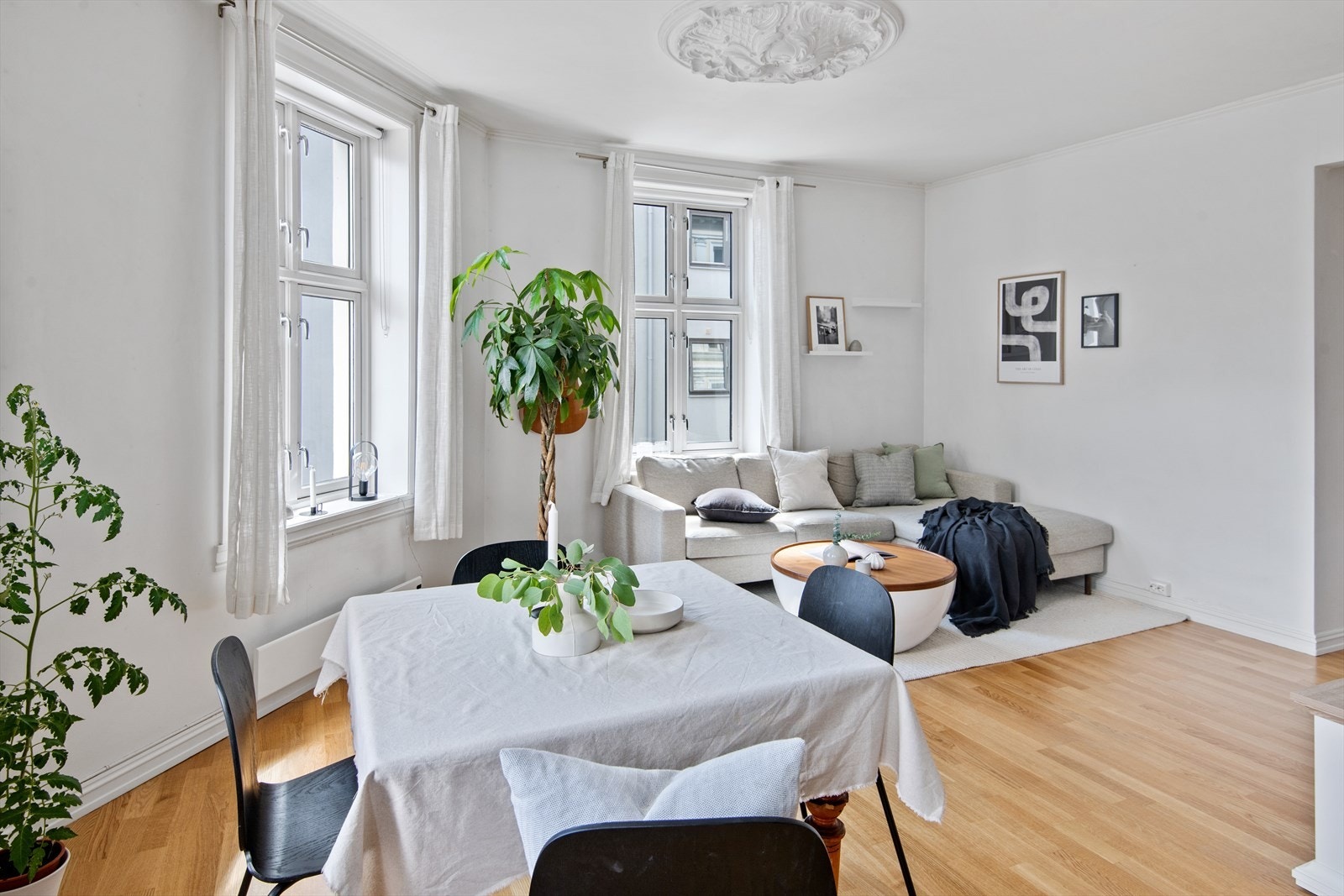 Leiligheten ligger på hjørnet av bygården med lysinnslipp fra flere sider og med store vindusflater som gir en god romfølelse. Legg merke til den flotte rosetten i taket. Galleribilde