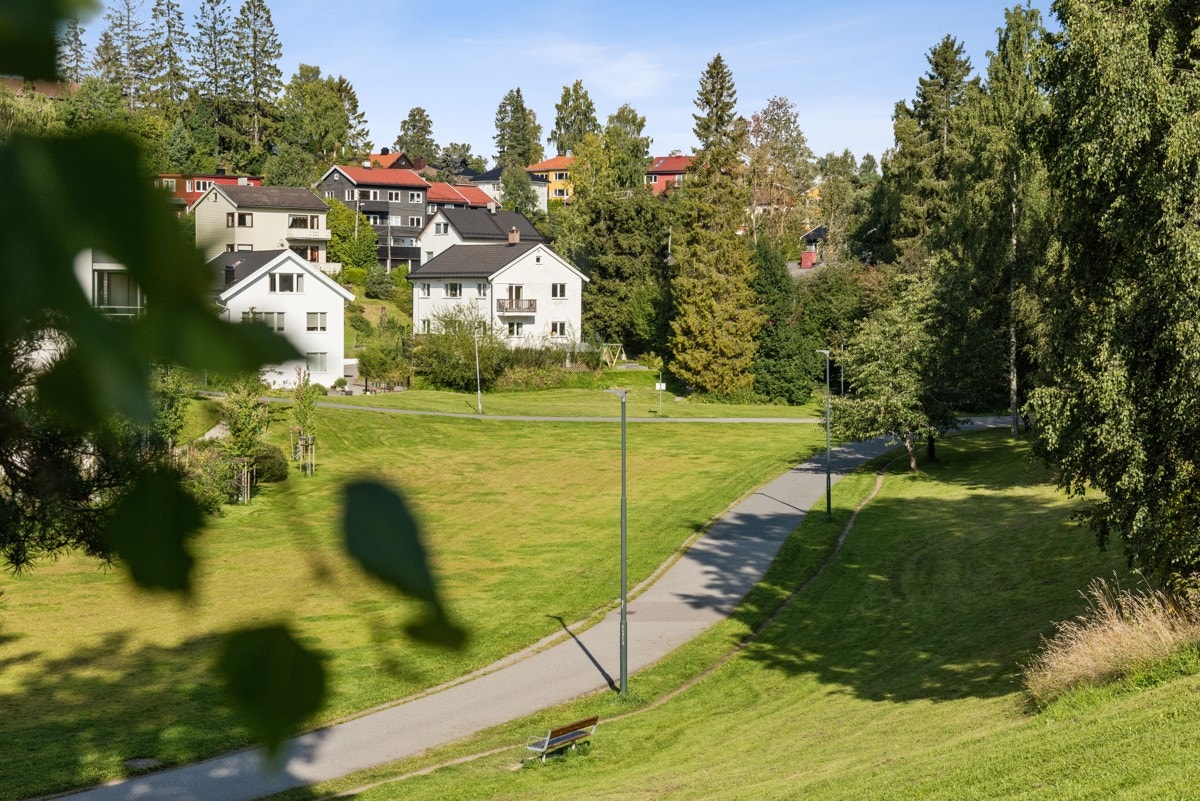 Grønnomgivelser rett uten for døren Galleribilde