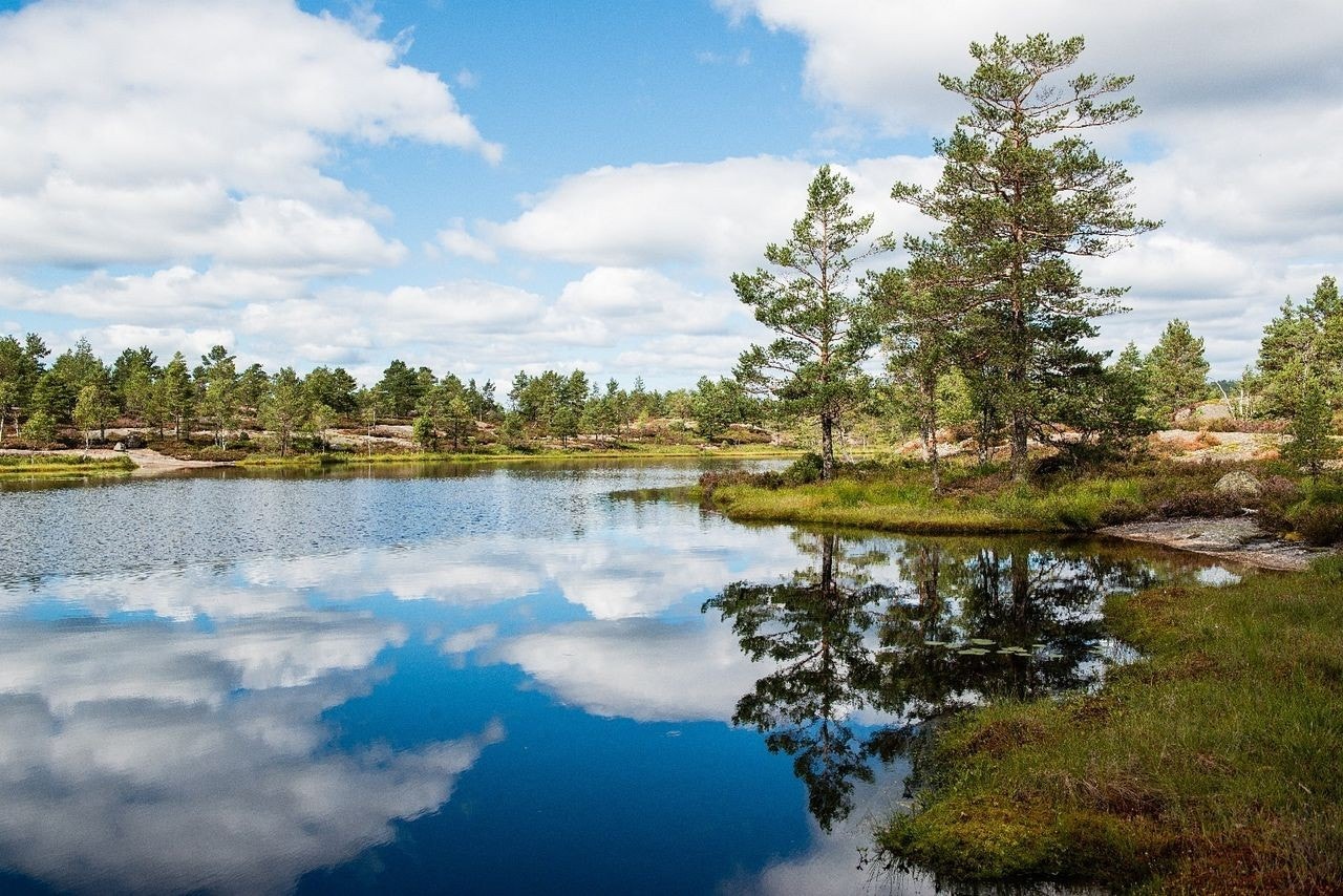 Nydelig natur i hele hyttefeltet. Galleribilde