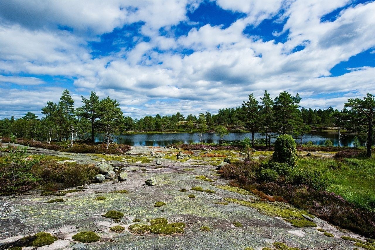 Nydelig natur i hele hyttefeltet. Galleribilde