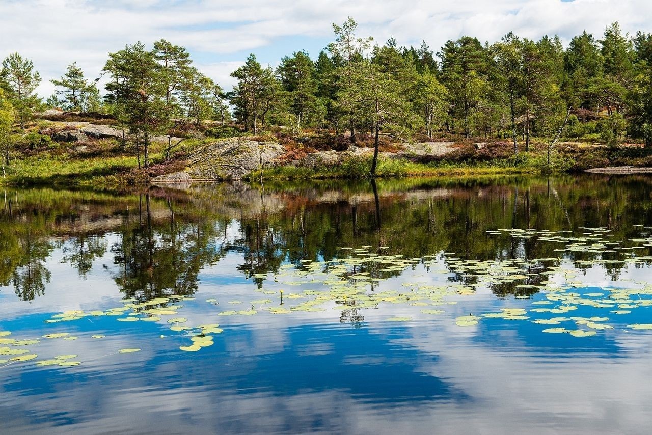 Nydelig natur i hele hyttefeltet. Galleribilde