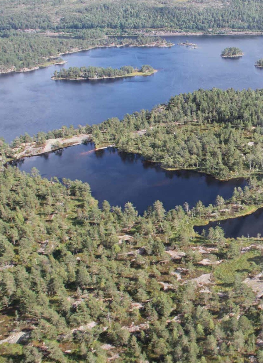 Fantastisk natur og utsikt. Galleribilde