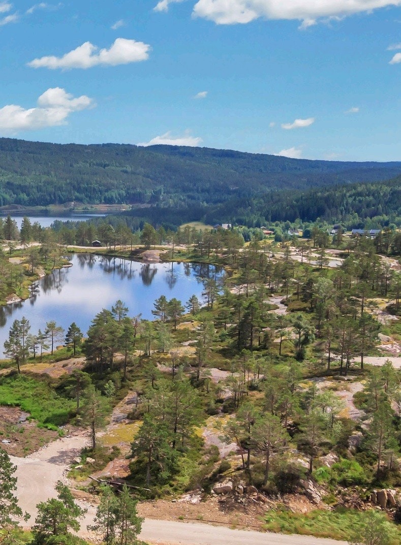 Tomter med sydvendt beliggenhet og gode solforhold. Galleribilde