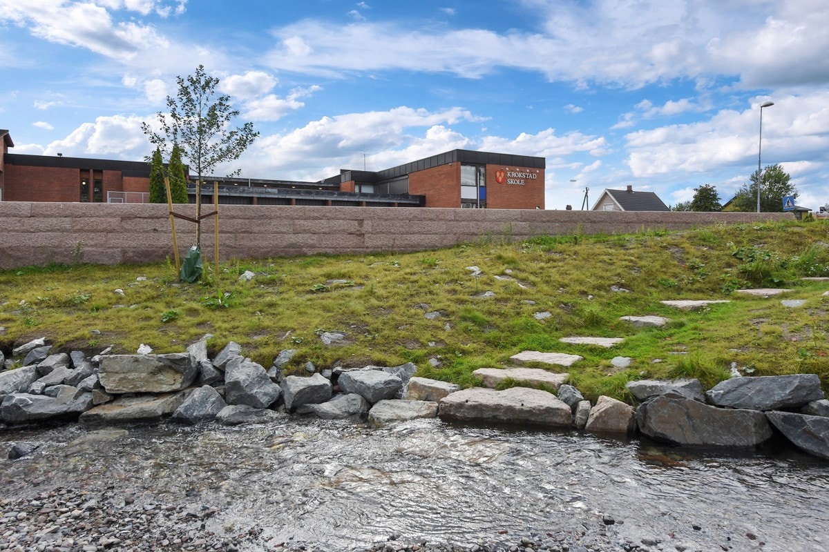 Nærområdet Galleribilde