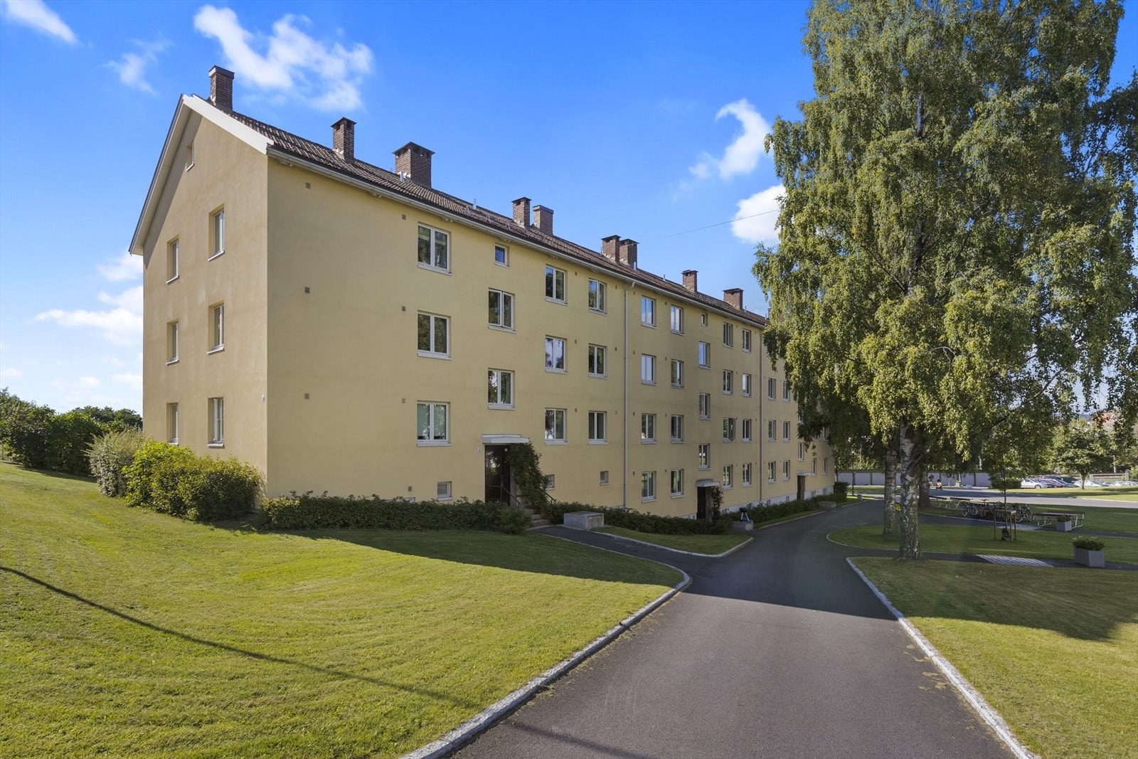 Her er det julegrantenning, felles vedbestilling hver høst og mulighet for egen pallkasse til grønnsaker Galleribilde