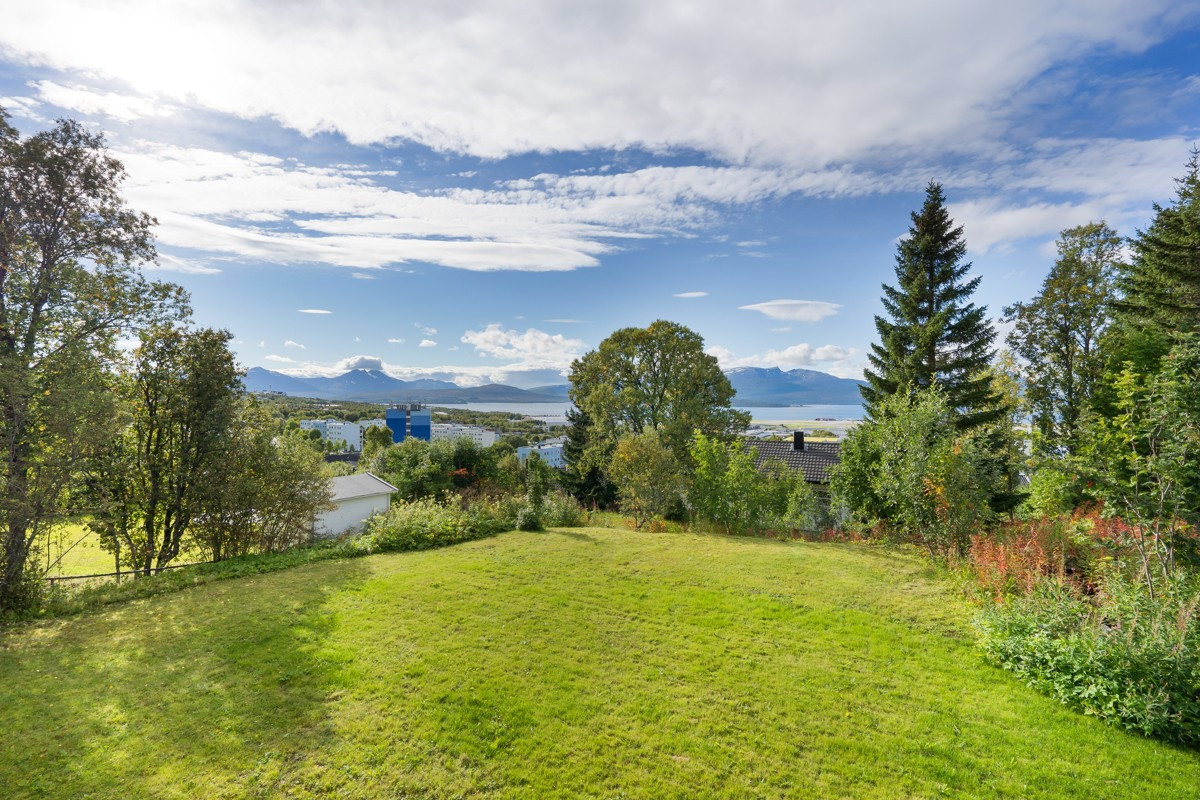 Fine grøntarealer