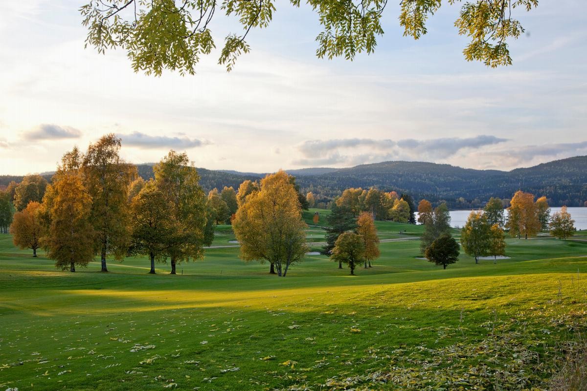 Bogstad Golf Galleribilde