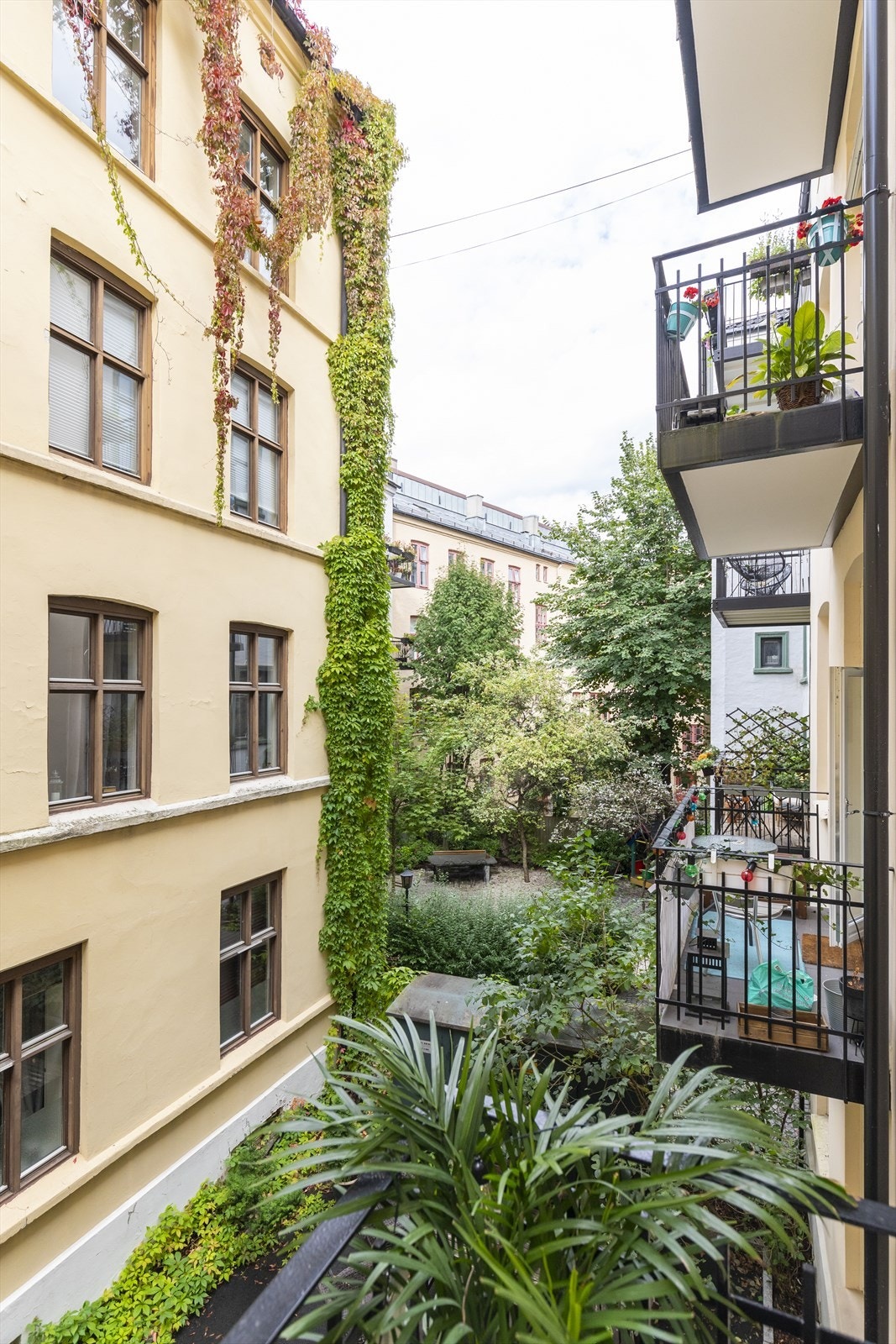 Bakgård Galleribilde