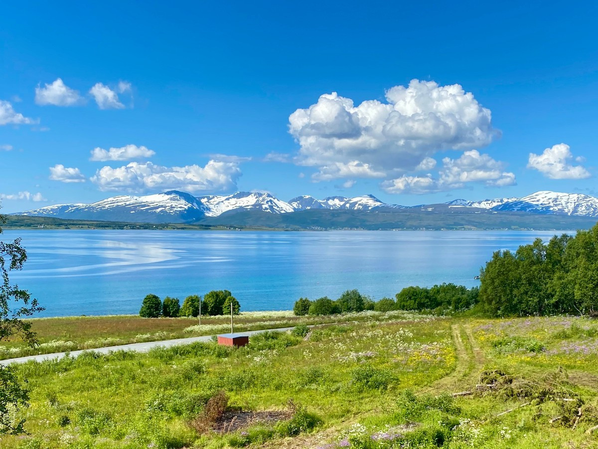 Område ligger i umiddelbar nærhet til grønne rekreasjonsområder