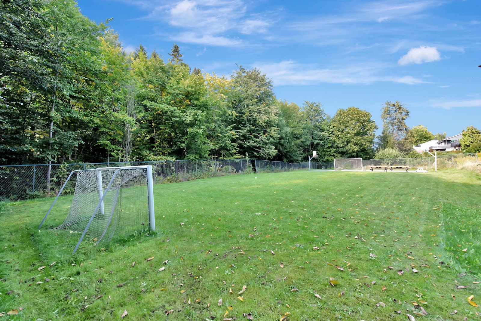 Ballplass i nærmiljø Galleribilde