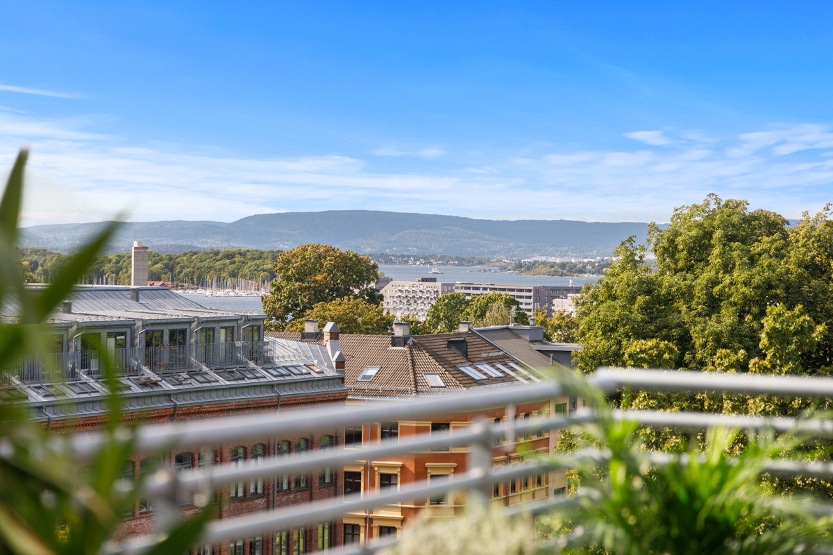 Terrenget sørger for at nærliggende bebyggelse forsvinner langt under horisonten, og utearealet oppleves som privat og usjenert. Galleribilde