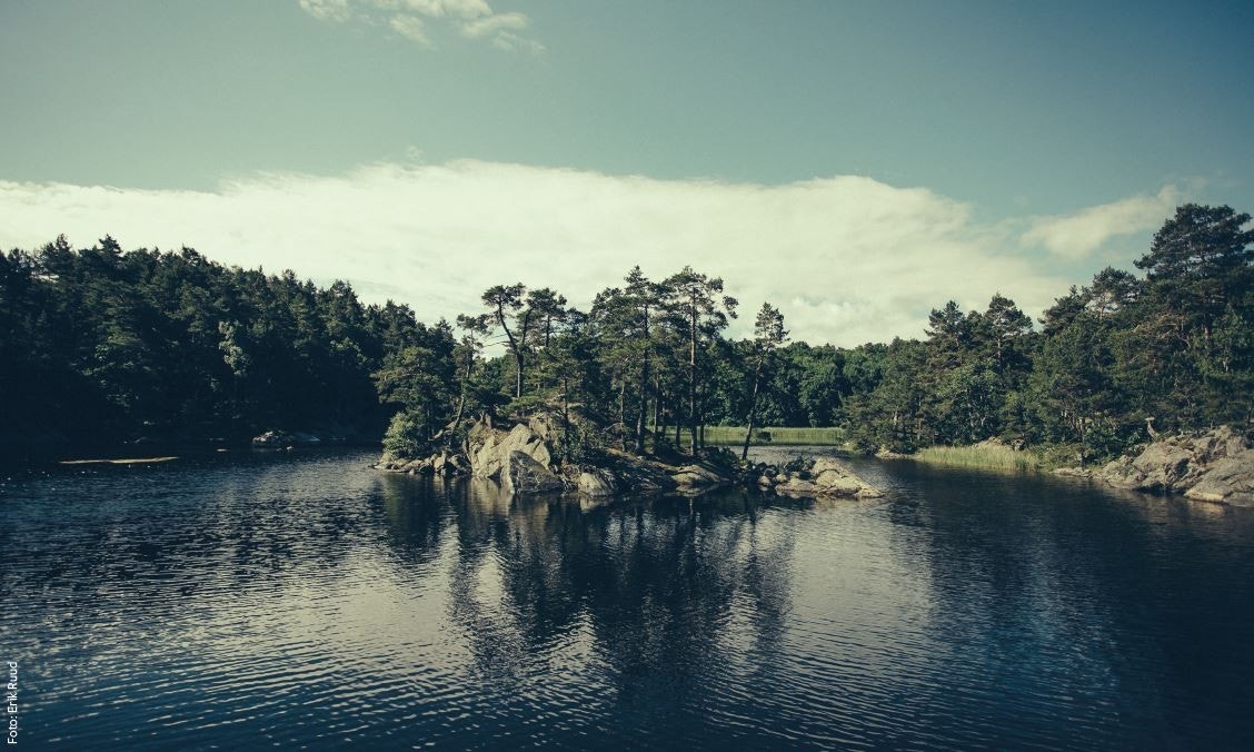 Drangsvannet Galleribilde