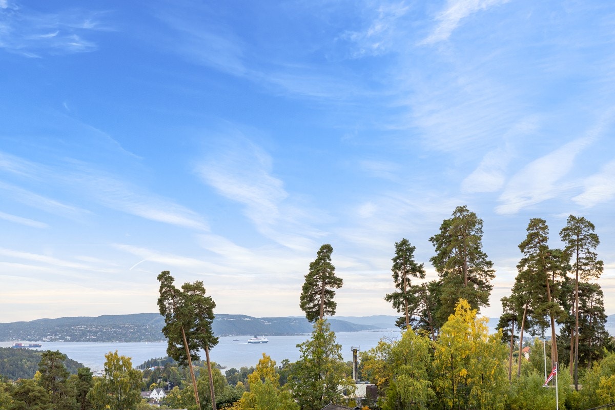 Gode solforhold, ingen gjenboere og flott fjordutsikt Galleribilde