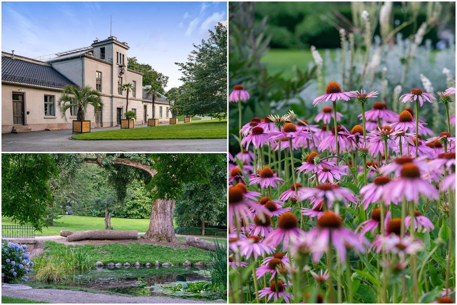 Kort vei til Botanisk hage Galleribilde