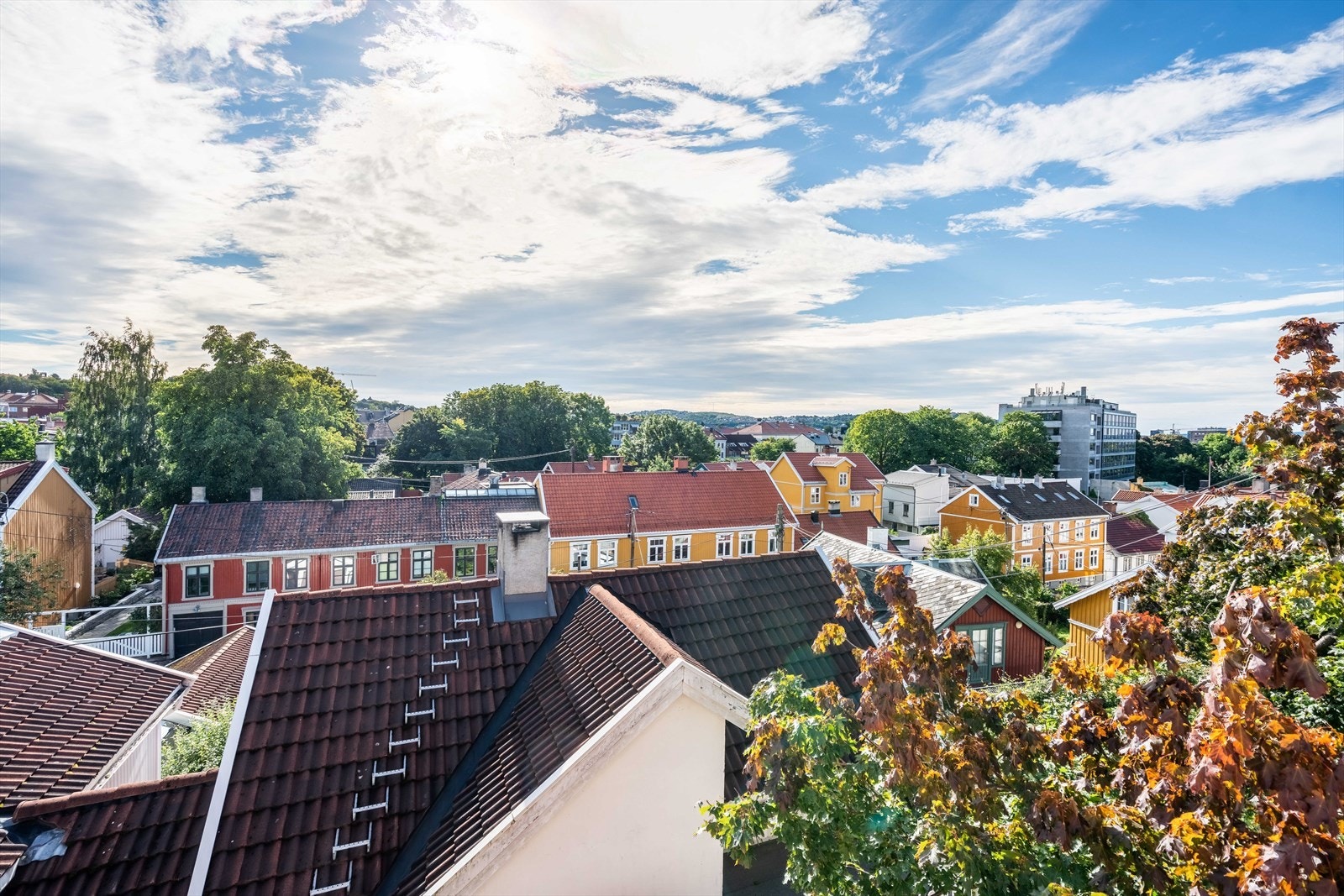 Idyllisk beliggende på populære Rodeløkka, utsikten fra hemsen Galleribilde