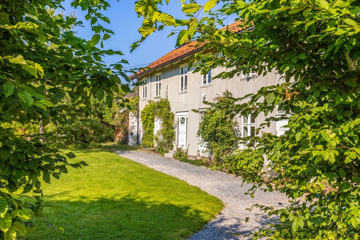 Frodig beplantning. Galleribilde