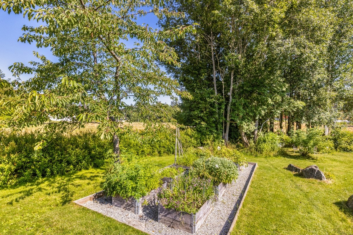 Grønnsakshage. Galleribilde