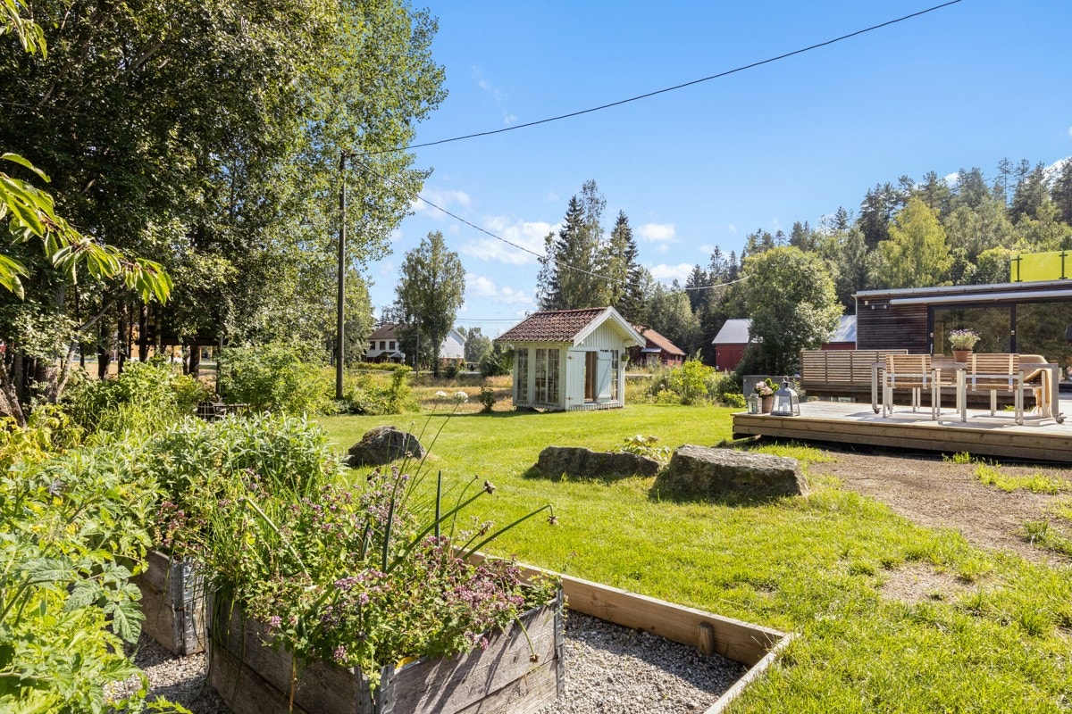 Stor hage med gressplen og kjøkkenhage. Galleribilde