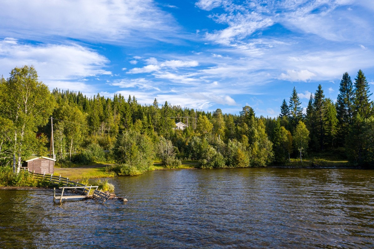 Det er kort kjøretur til Soknedal med dagligvarebutikker og de fleste andre fasiliteter