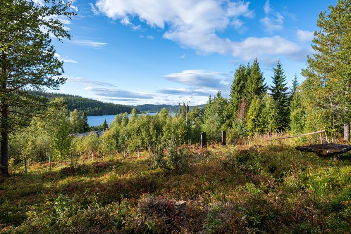 For den fiskeglade er det store muligheter for en ørret eller røye på stanga i Ramstadsjøen