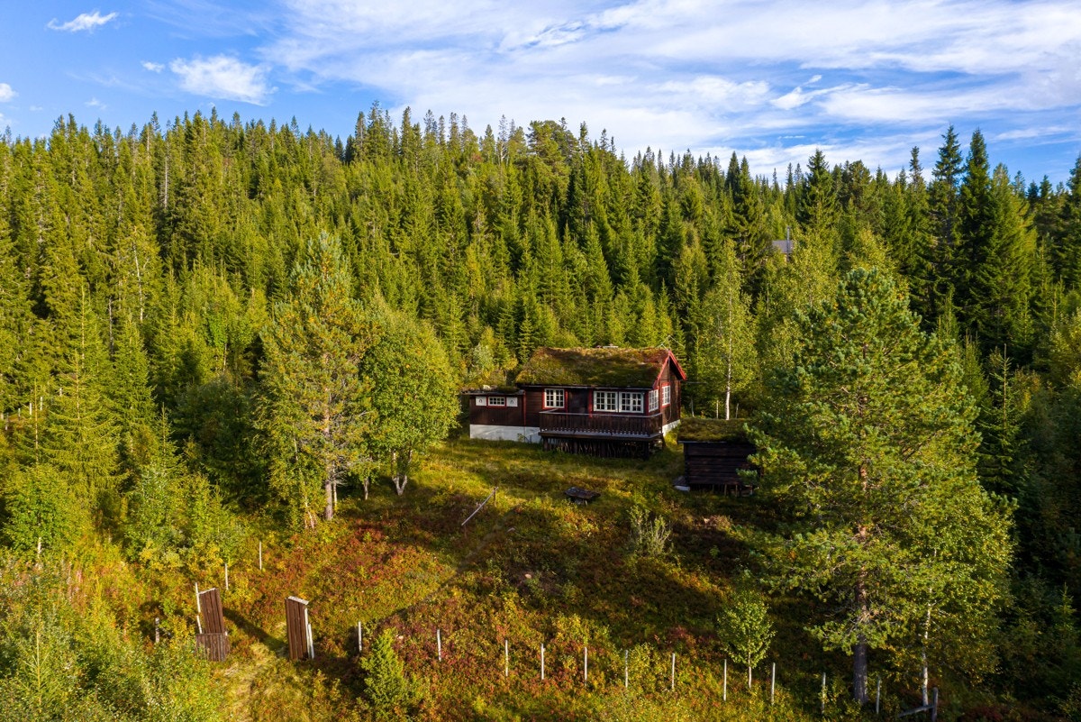 Senk skuldrene til naturens ro, kun én times kjøring fra Trondheim