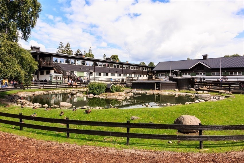 Ekeberg Husdyrpark er et populært innslag på fritiden for de minste. Her er det store og frodige grøntområder, idrettshall, fotballbaner, frisbeebaner og minigolf. Galleribilde
