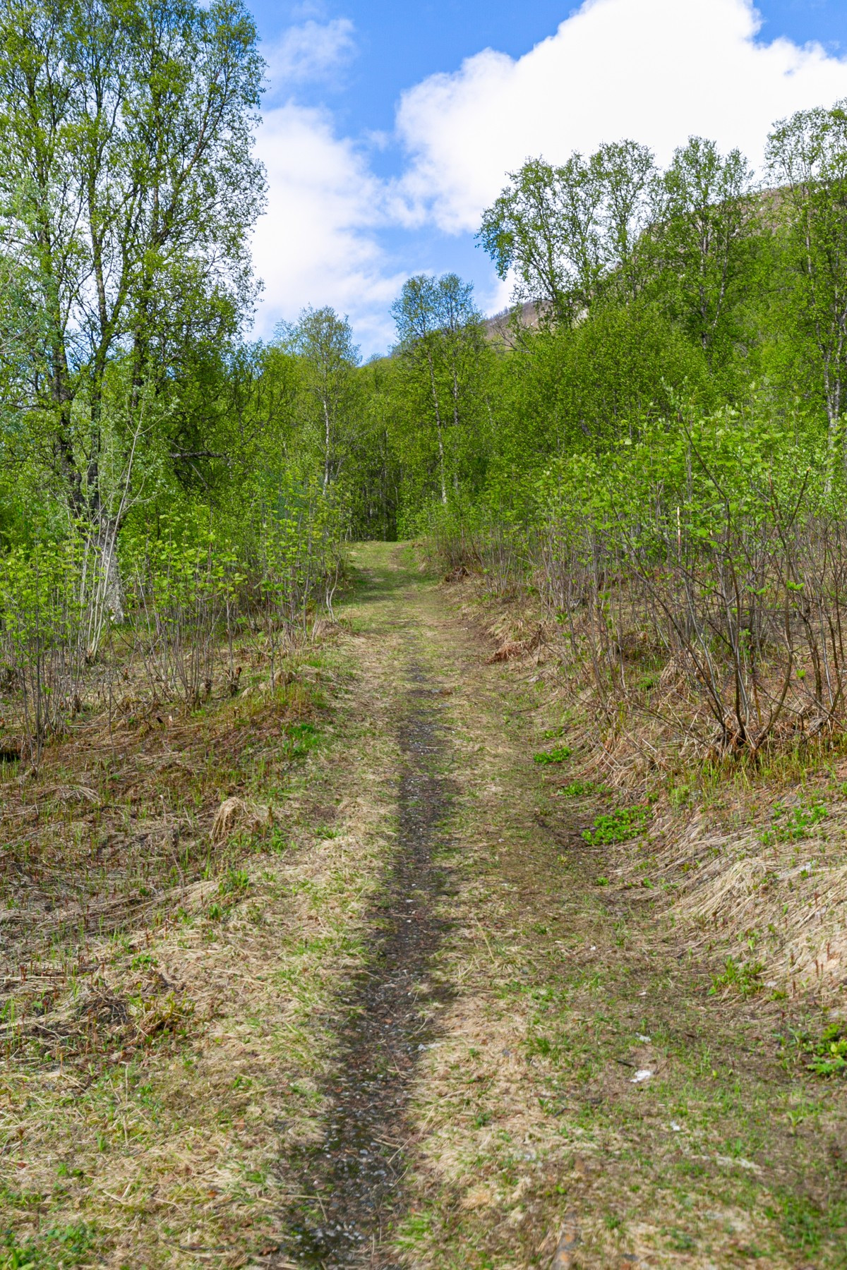 Fine naturområder i kort avtand fra boligen