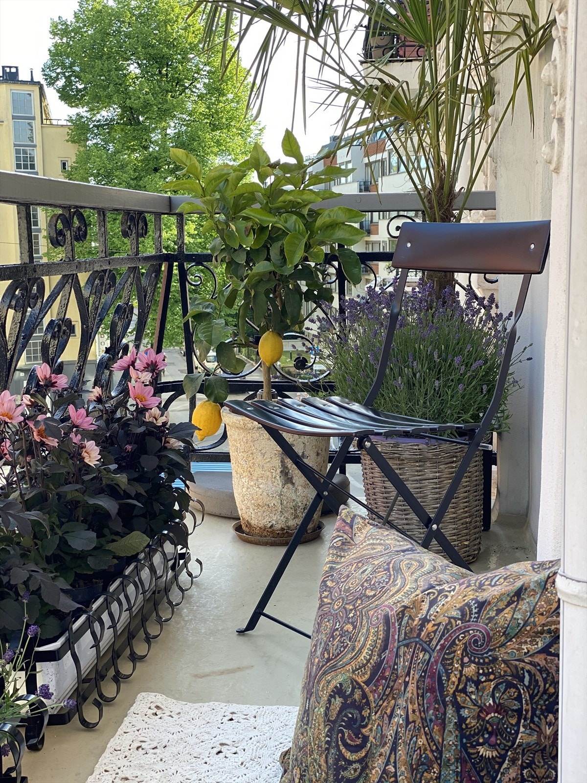 Selgers sommerbilde fra balkongen. Galleribilde