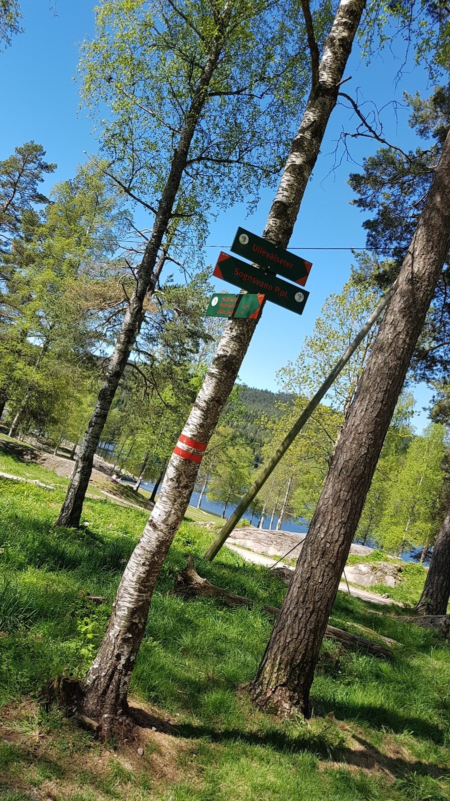 En kort spasertur unna finnes fine turveier og akebakker. Månejordet, Havnabakken, Damefallet er et kommunalt grøntanlegg/park som strekker seg fra Ring 3 til Sognsvann. Galleribilde