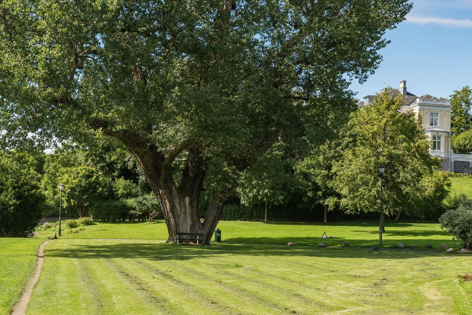 Skarpsnoparken, som nærmeste nabo Galleribilde